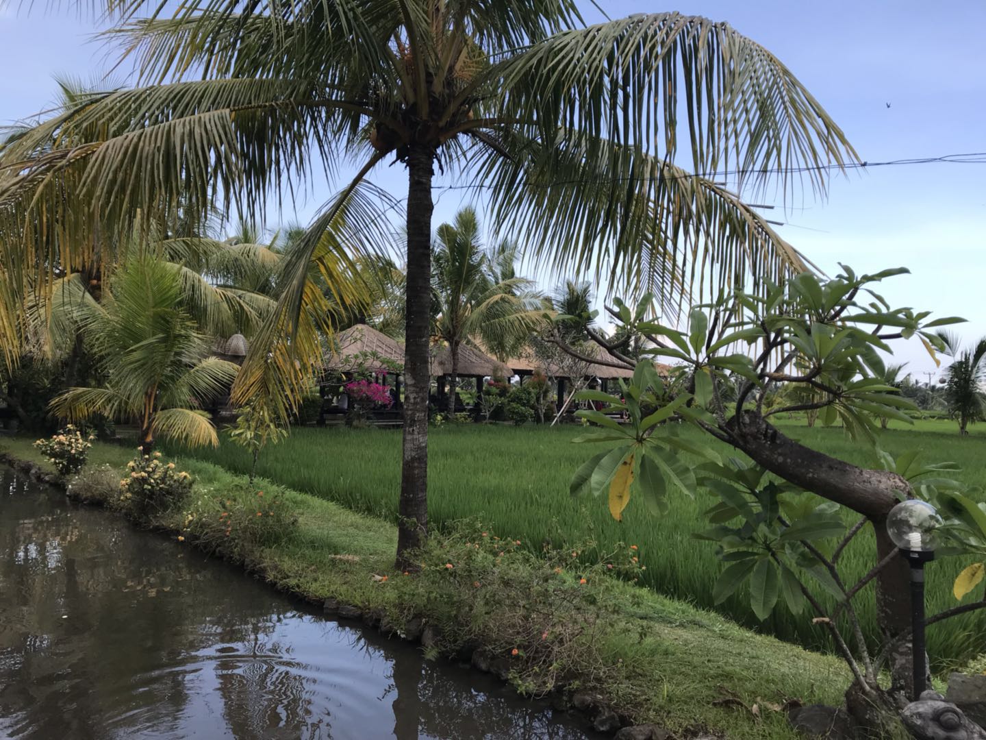 2025371020 2025371020